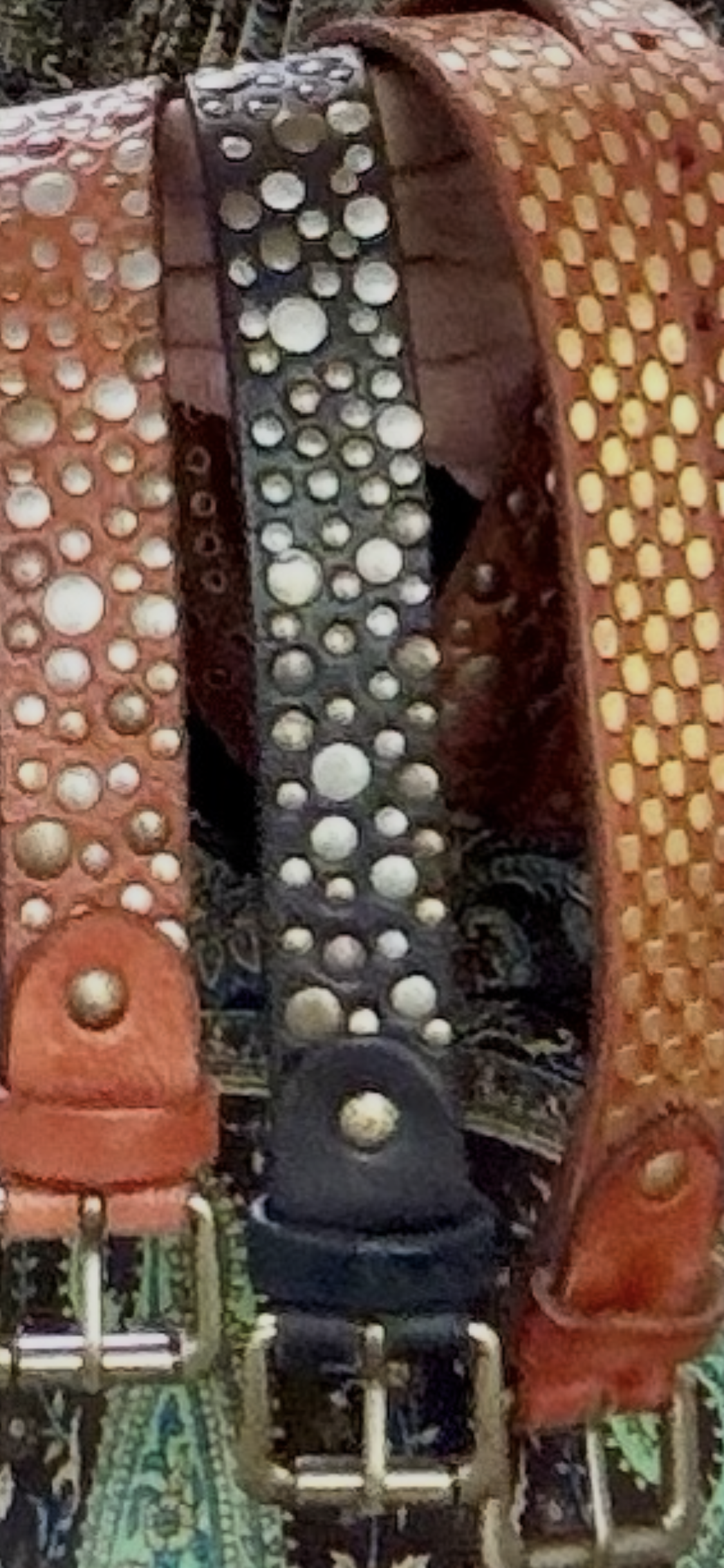 Ceinture SIENA